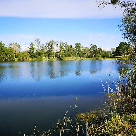 Gite A La Campagne - Etat Nature Magnieres Exterior photo