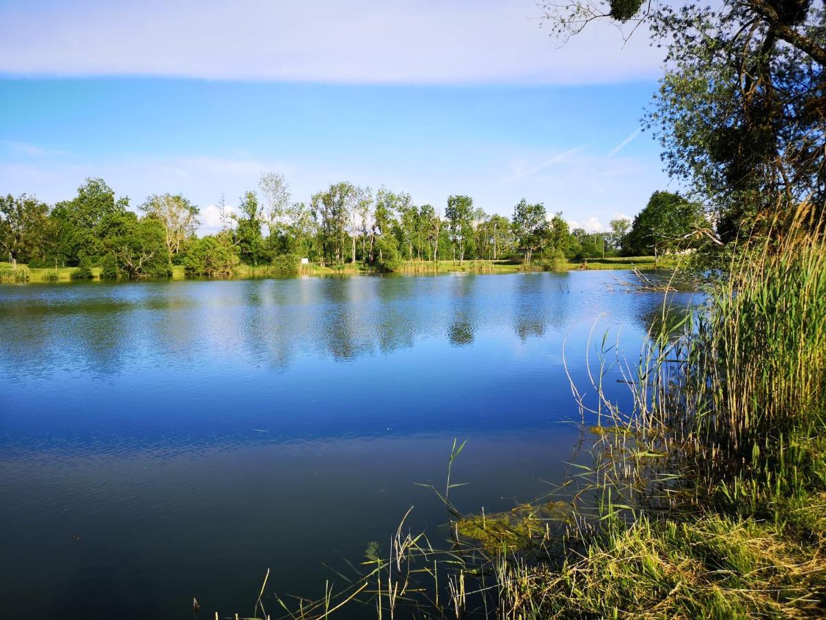 Gite A La Campagne - Etat Nature Magnieres Exterior photo